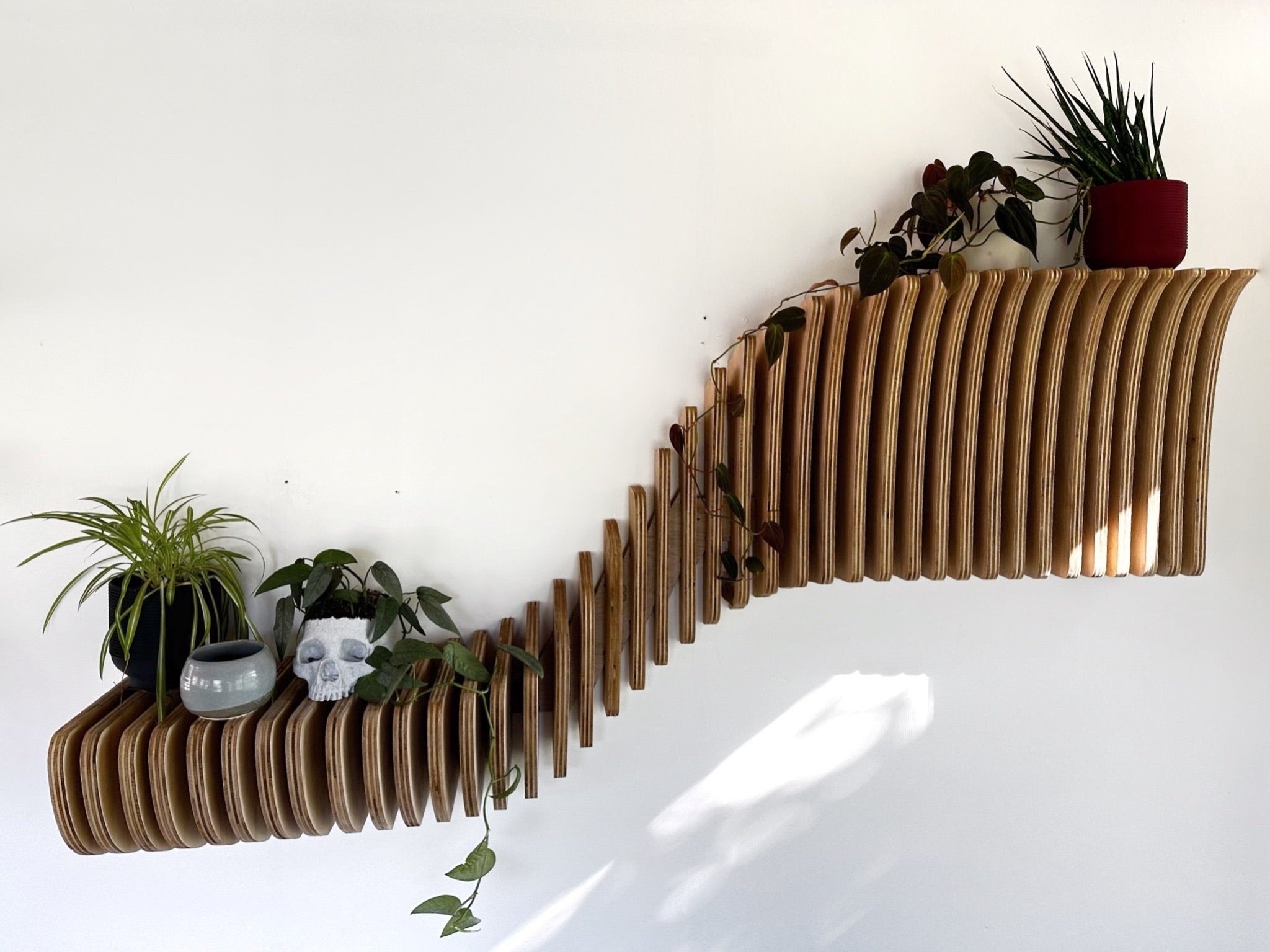 Parametric Shelf - Cypress Creative Co