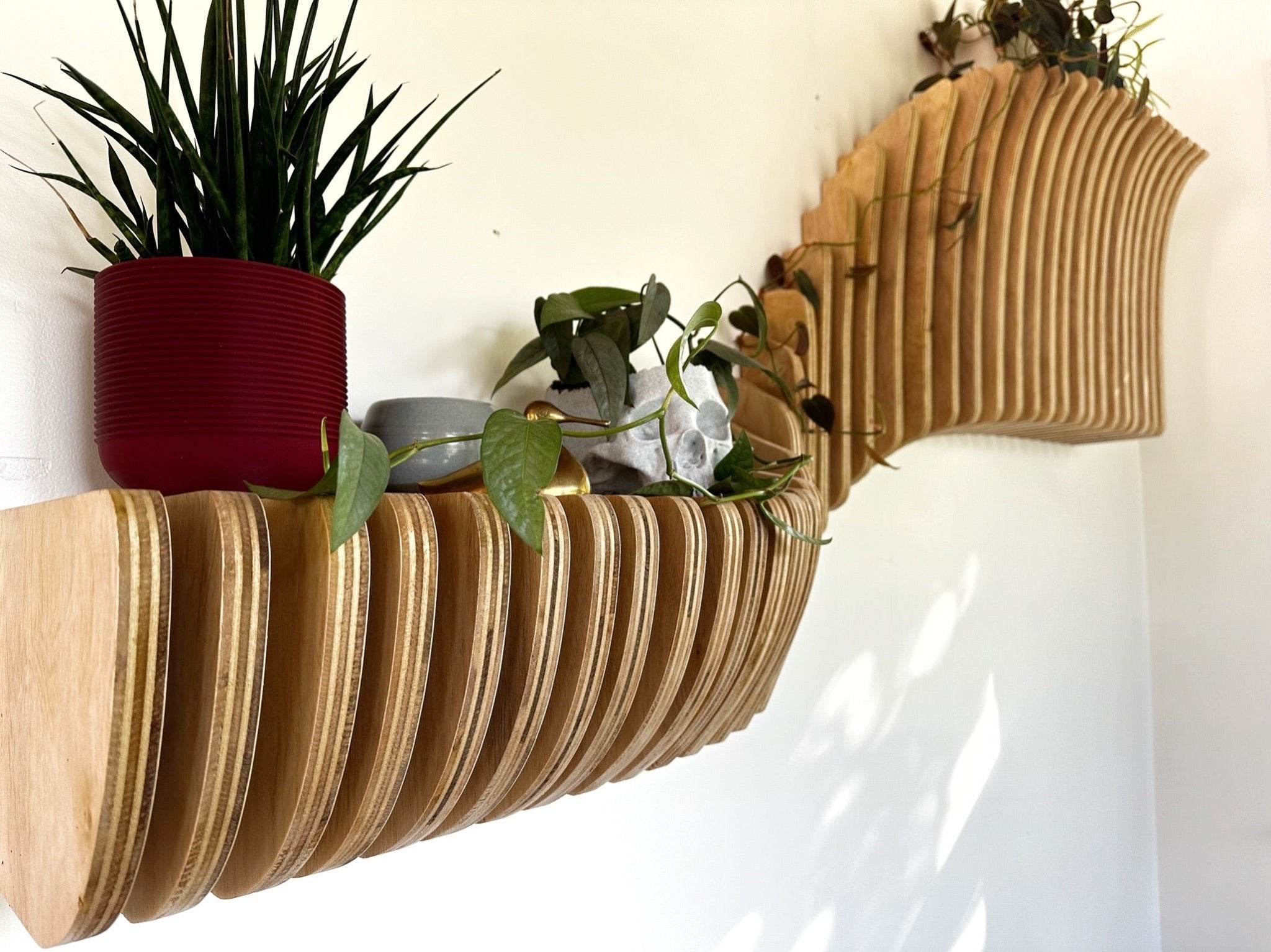 Parametric Shelf - Cypress Creative Co